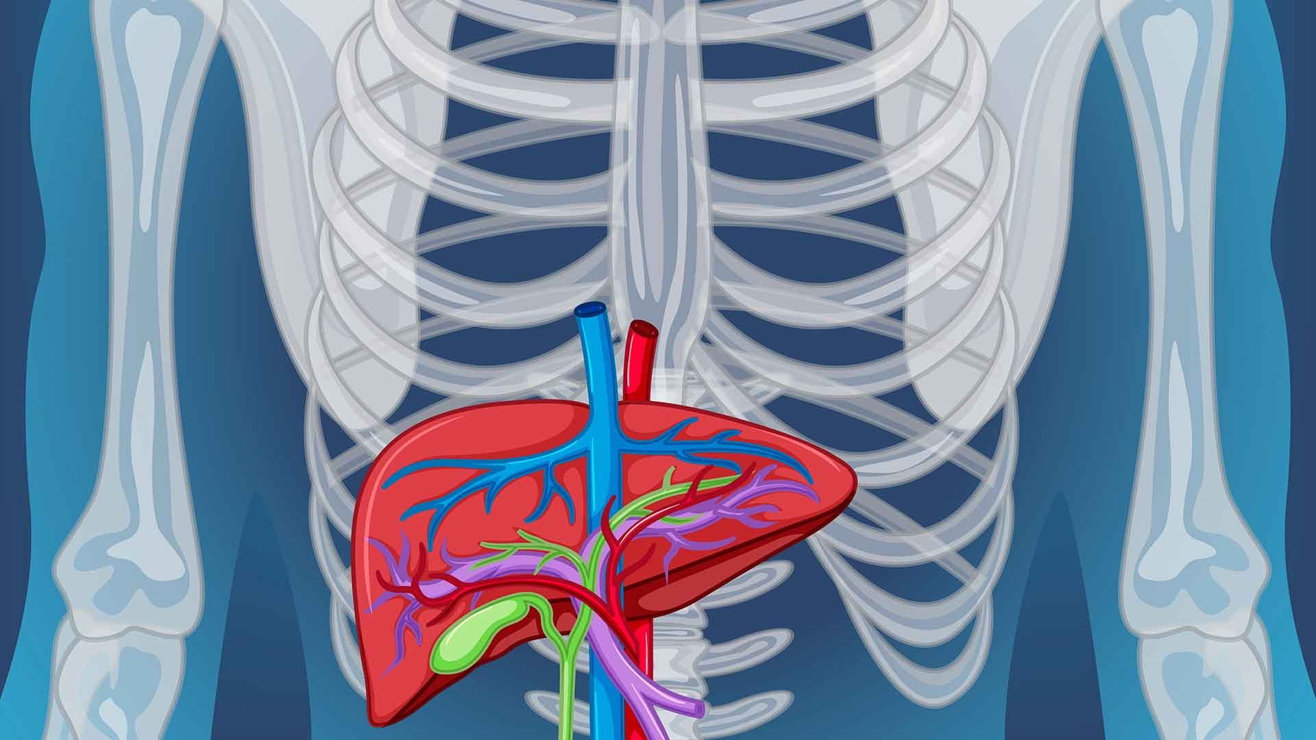 Datos del mundo real señalan que Opsumit apenas causa problemas hepáticos a pacientes de hipertensión arterial pulmonar