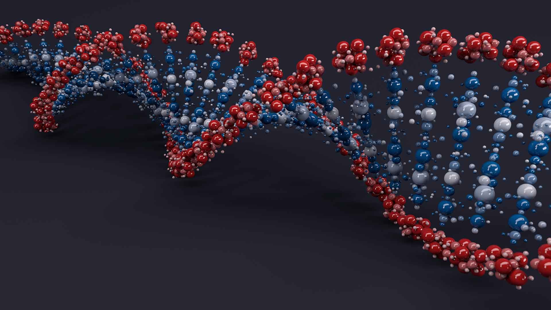 Imagen virtual de una molécula de ADN