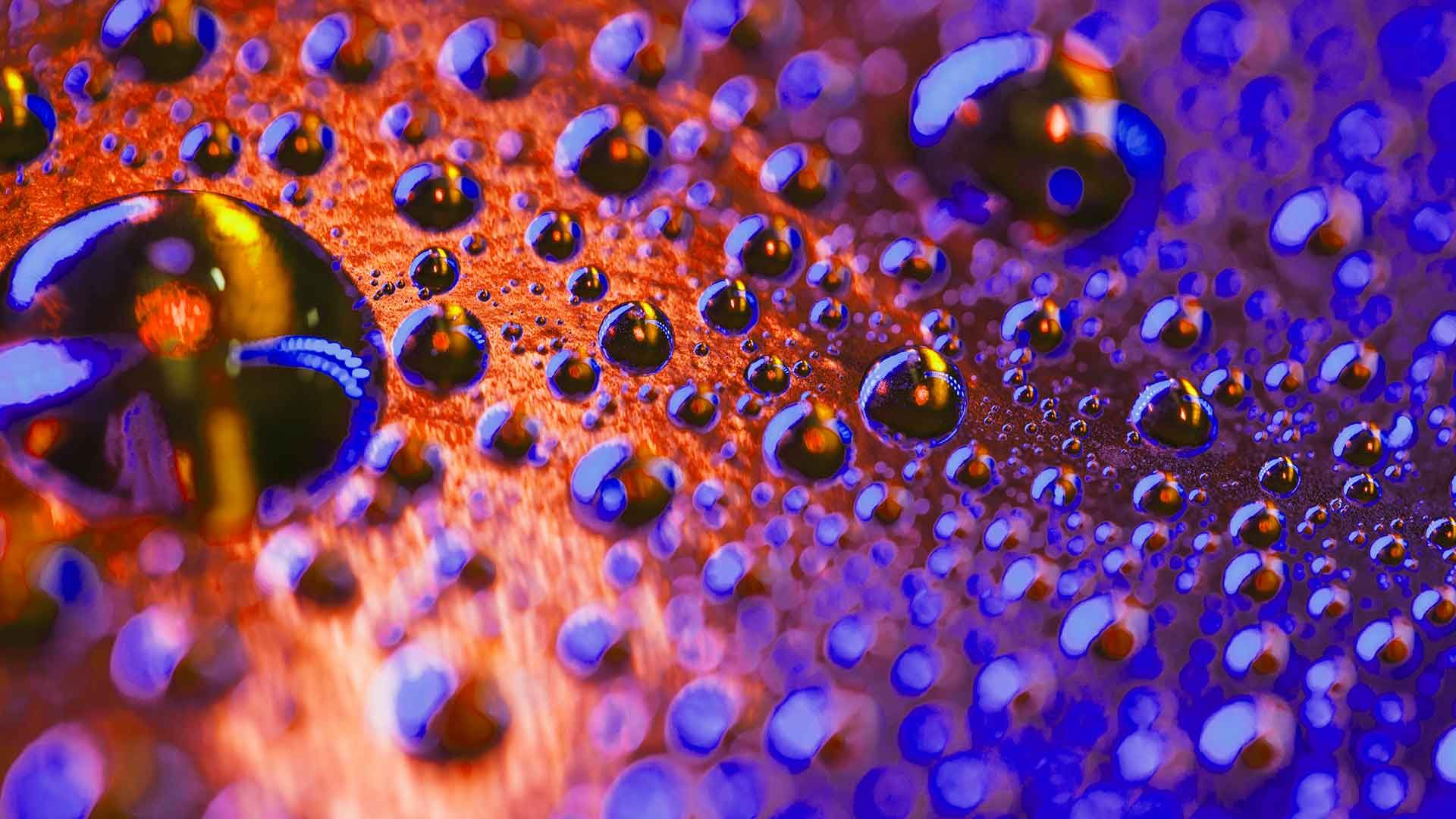 Nanocápsulas