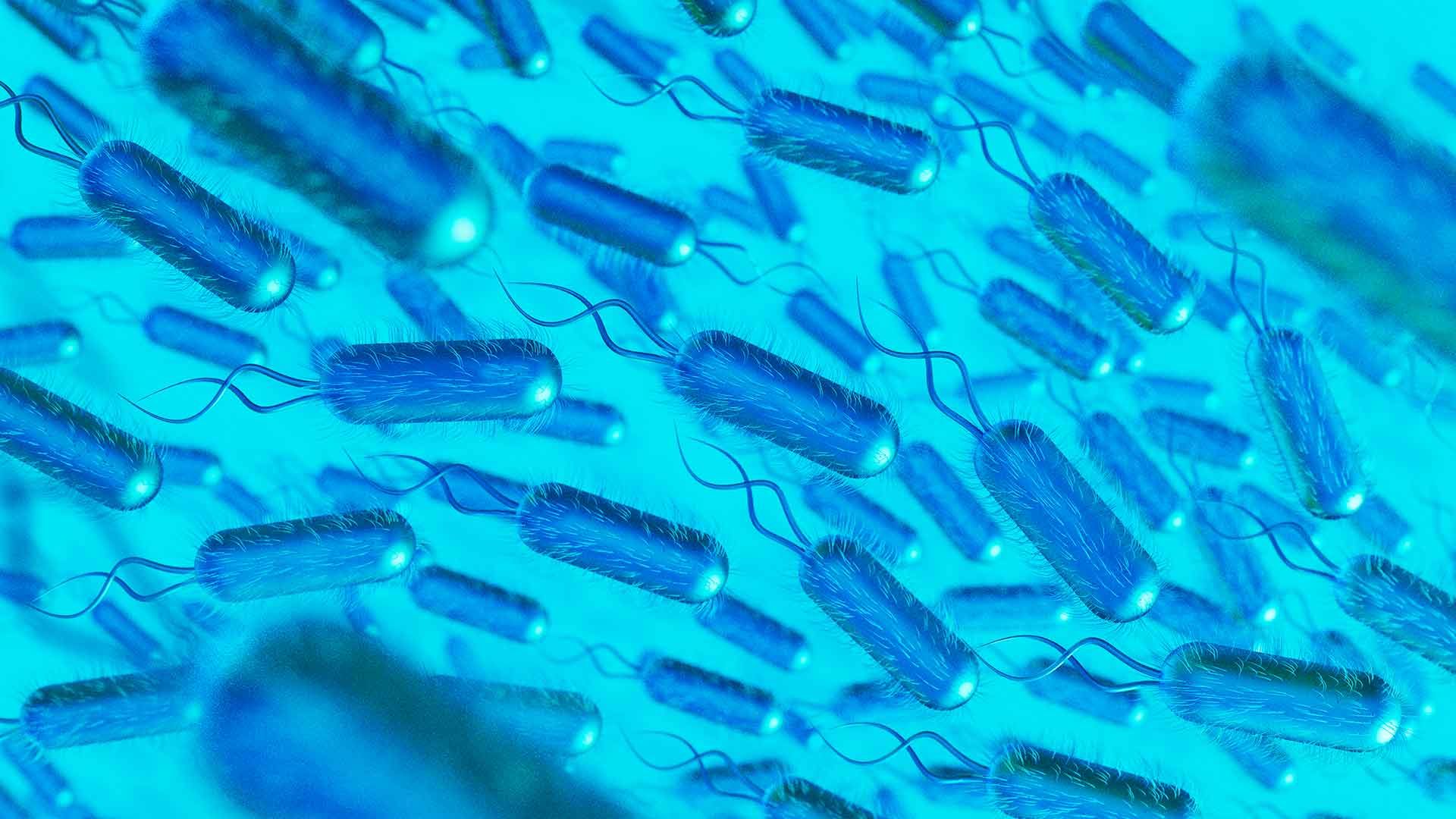 Microbios