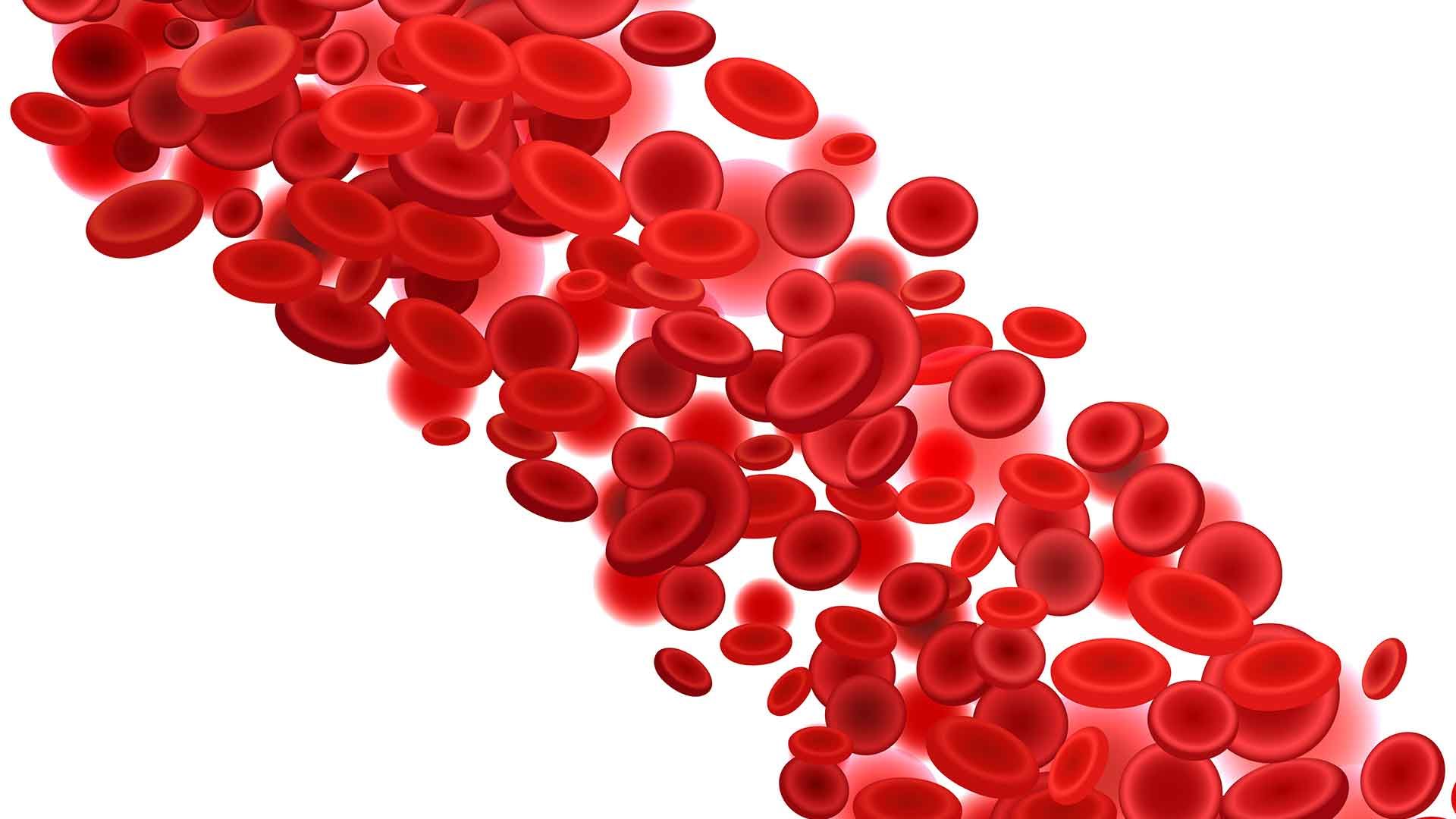 Glóbulos rojos