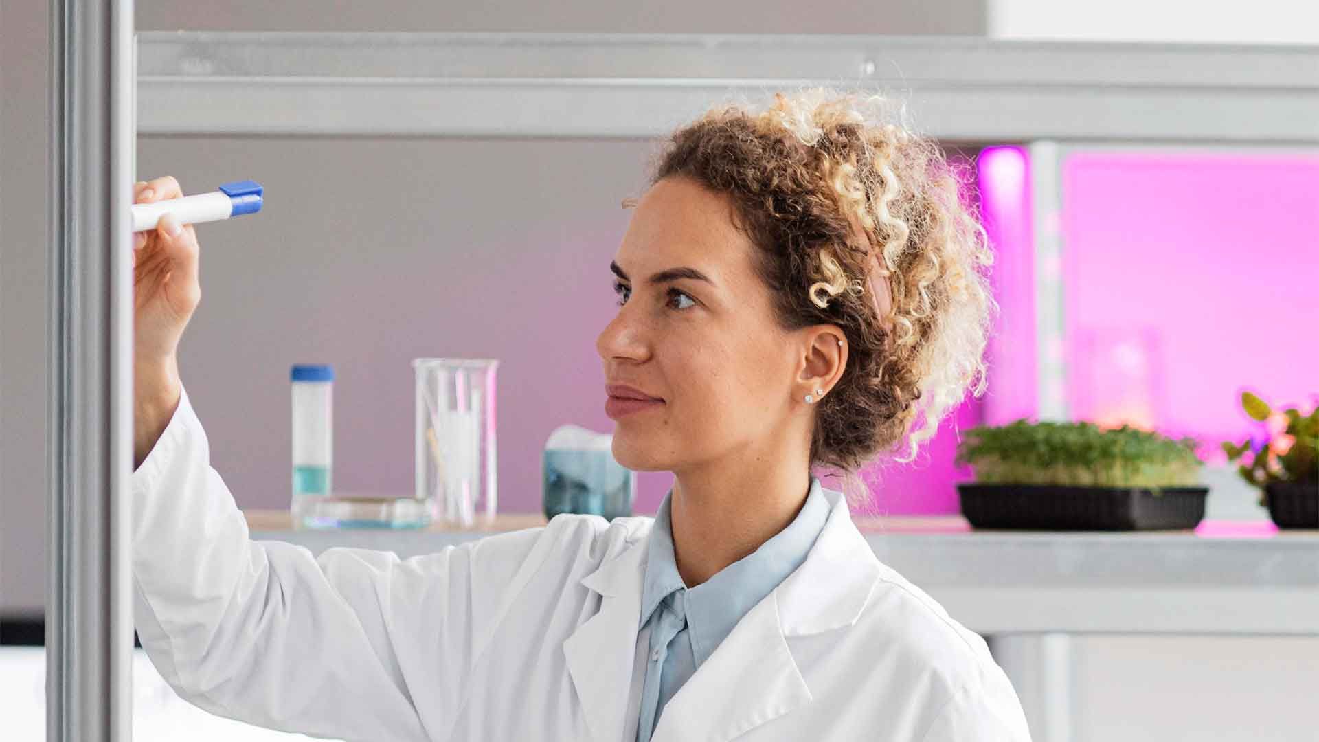 Investigadora