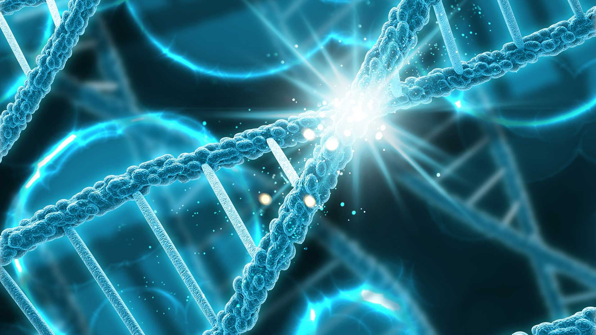 Imagen sintética de un fragmento de ADN