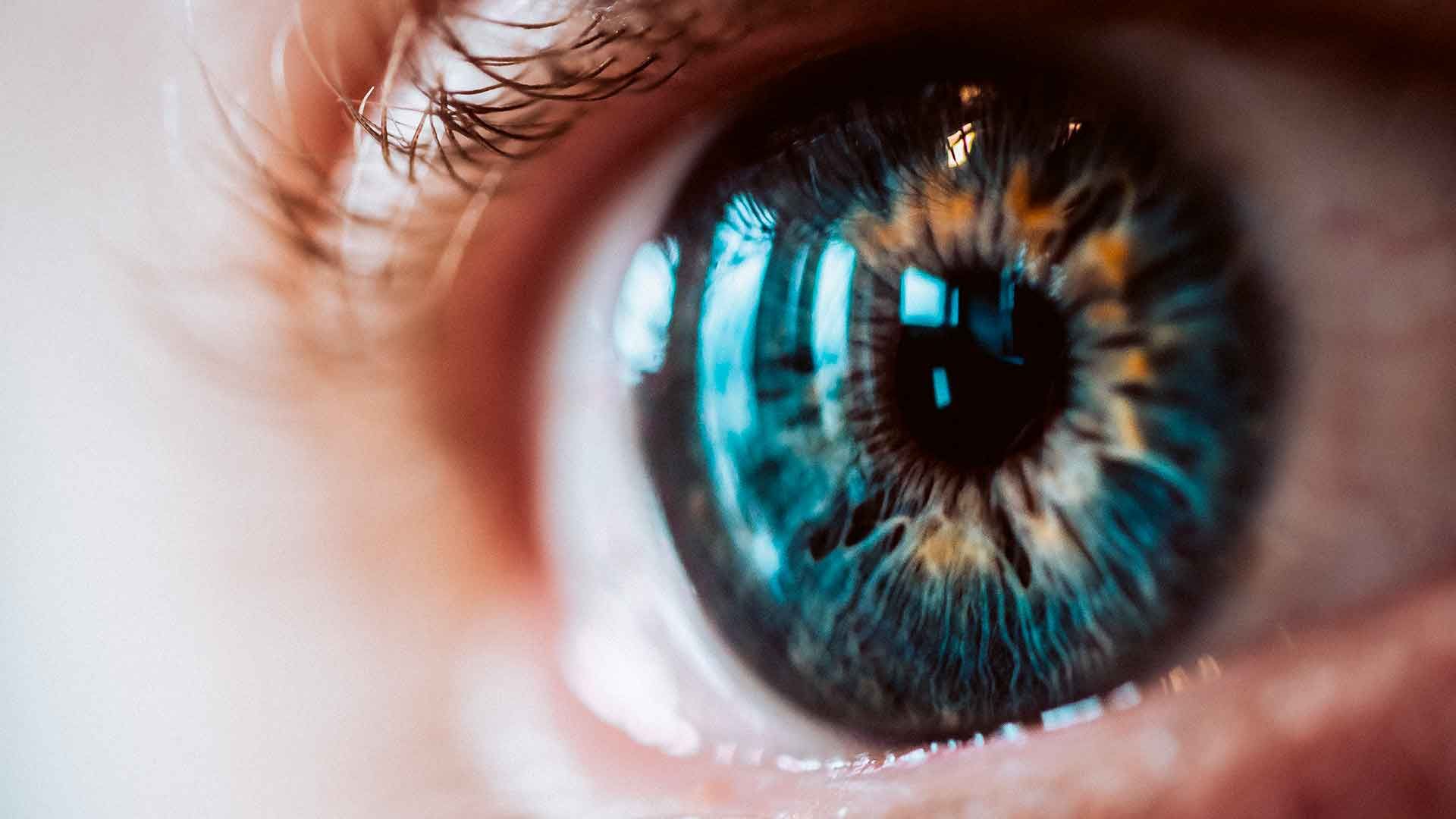 Ojo en primer plano