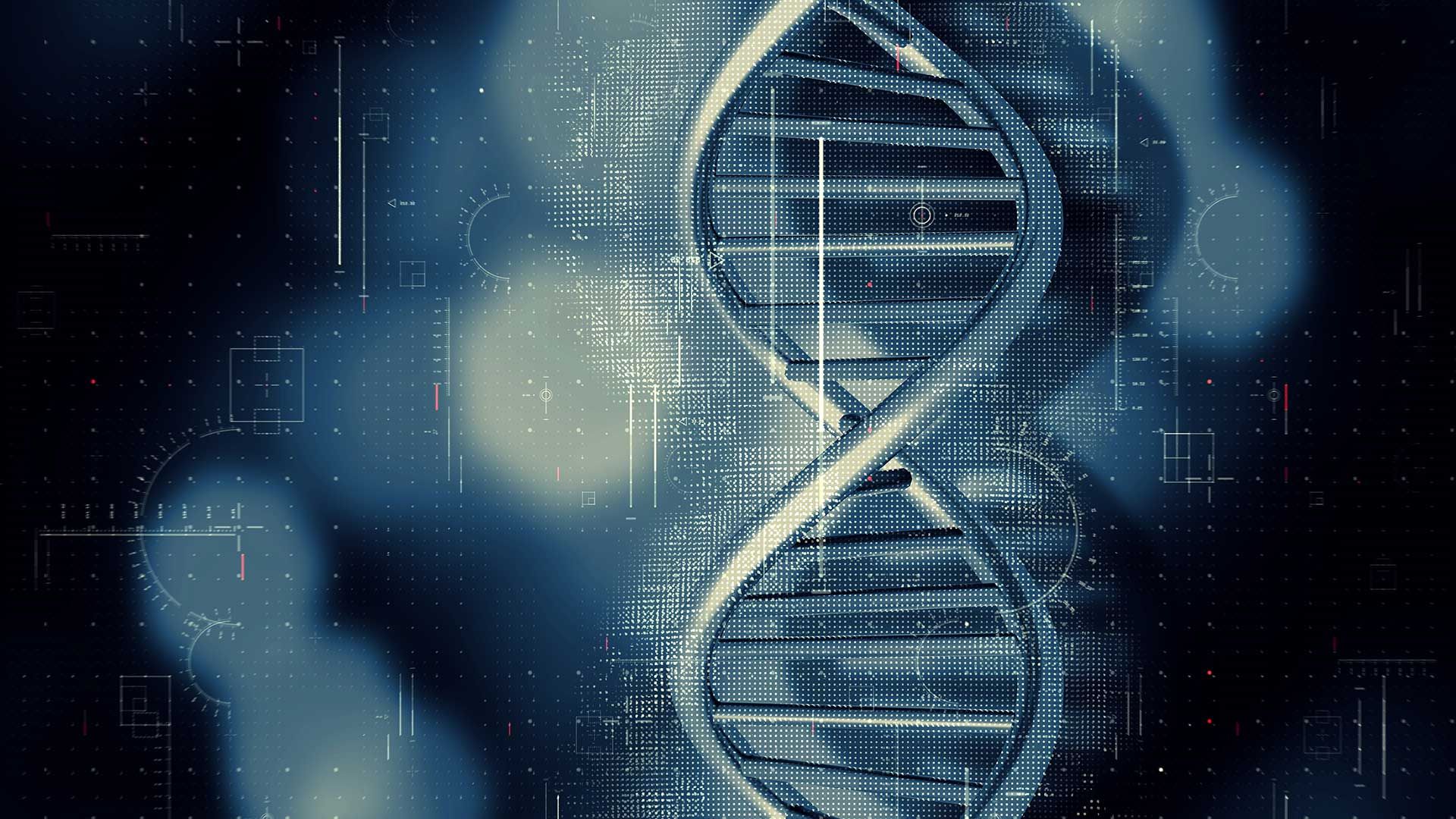 Representación sintética de un gen