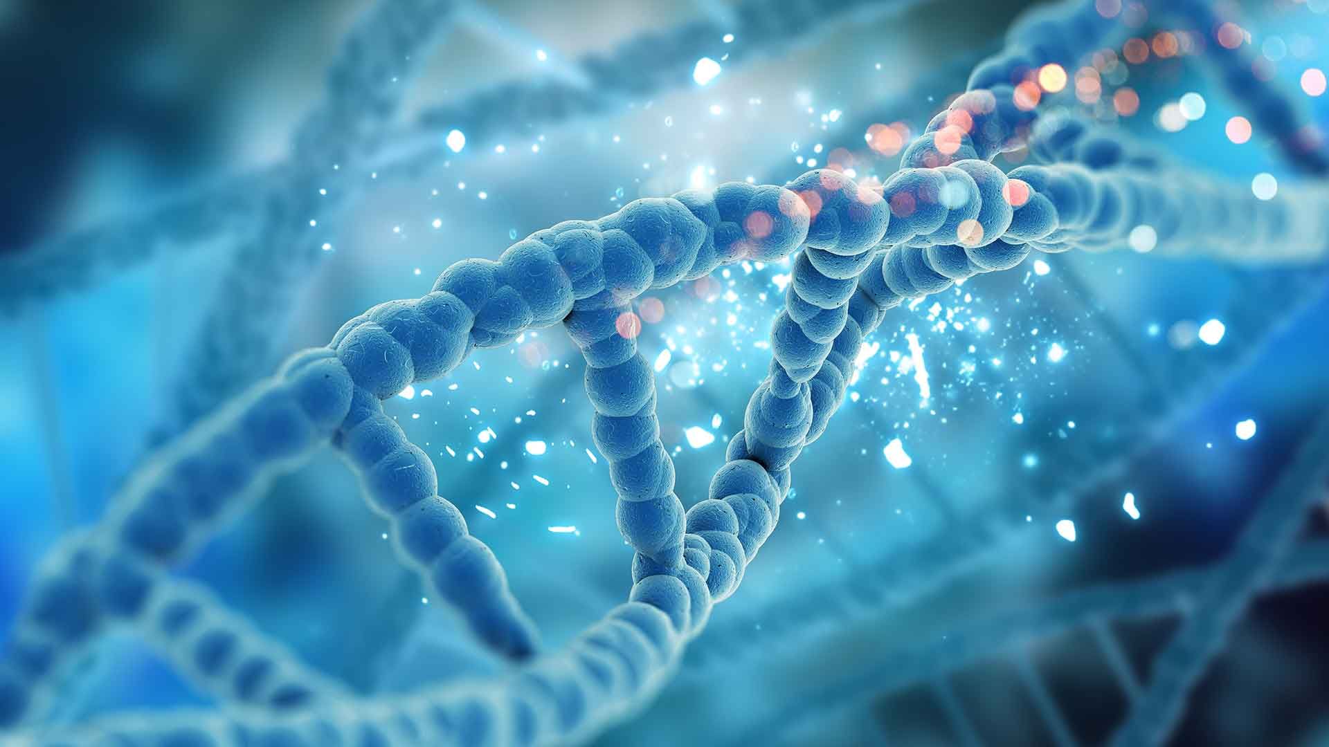 Biomarcadores de la Hipertensión PulmonarBiomarcadores de la Hipertensión Pulmonar