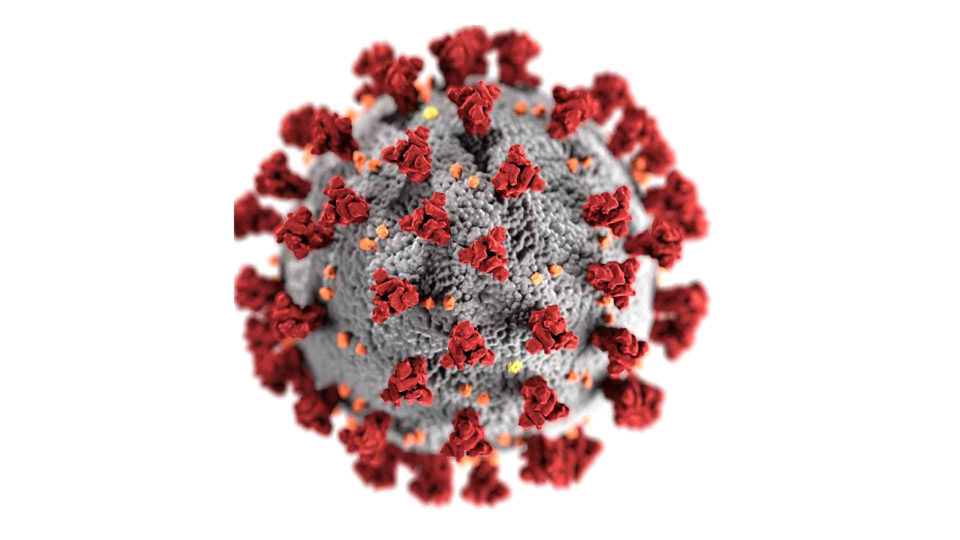 Imagen de un virus COVID-19