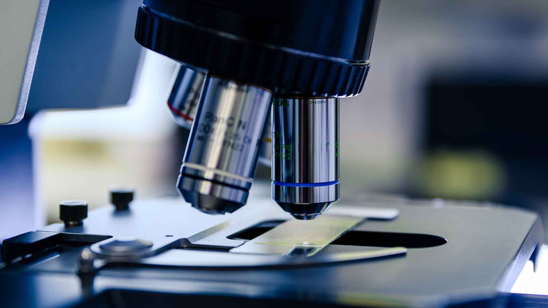 Microscopio