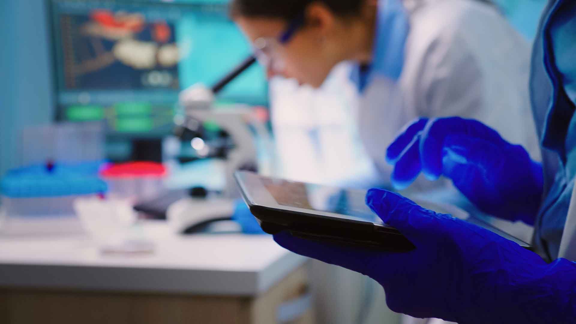 Laboratorio