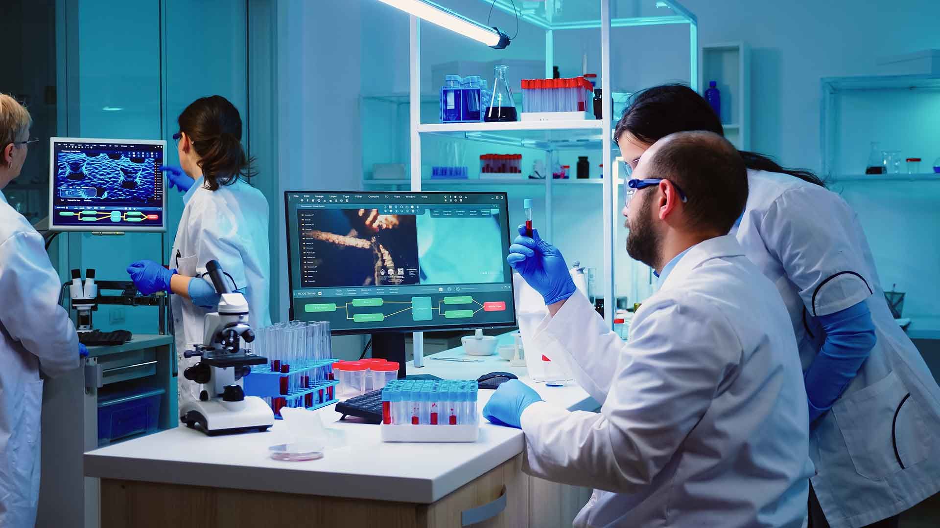 Investigadores