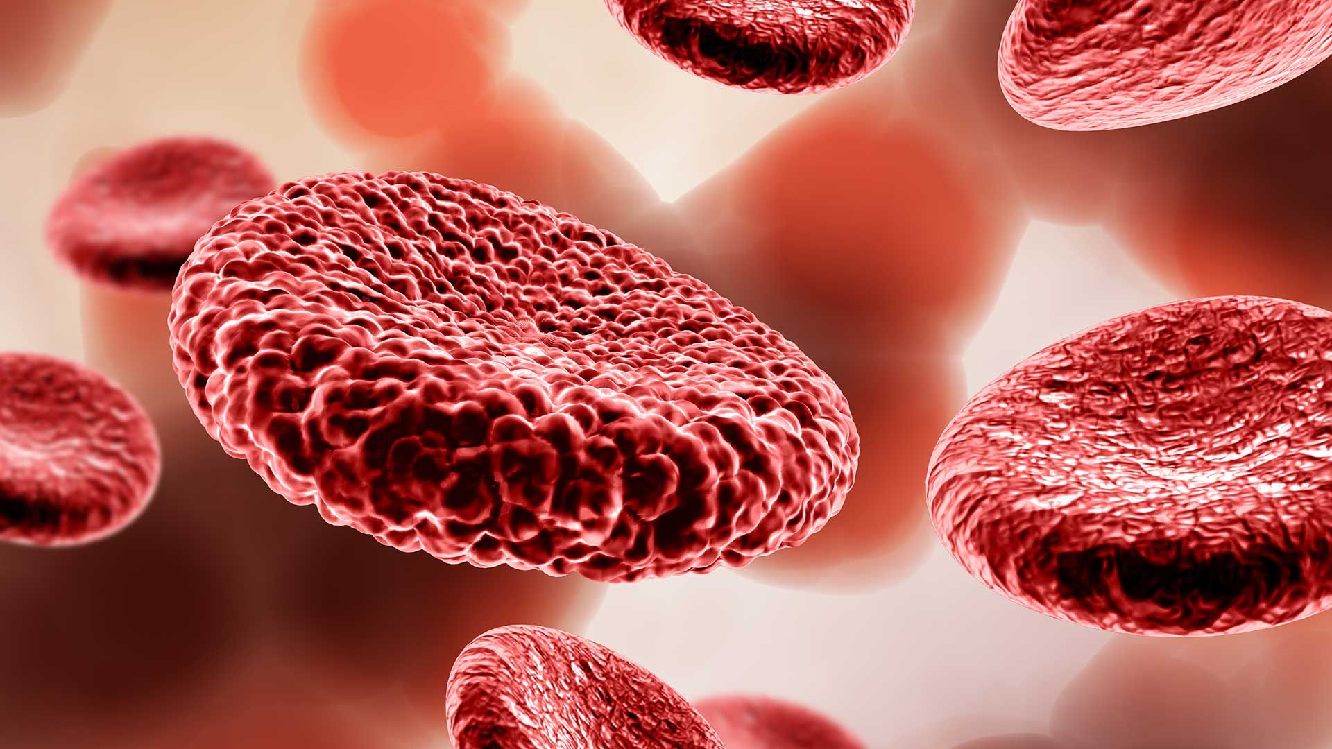 Representación de glóbulos rojos