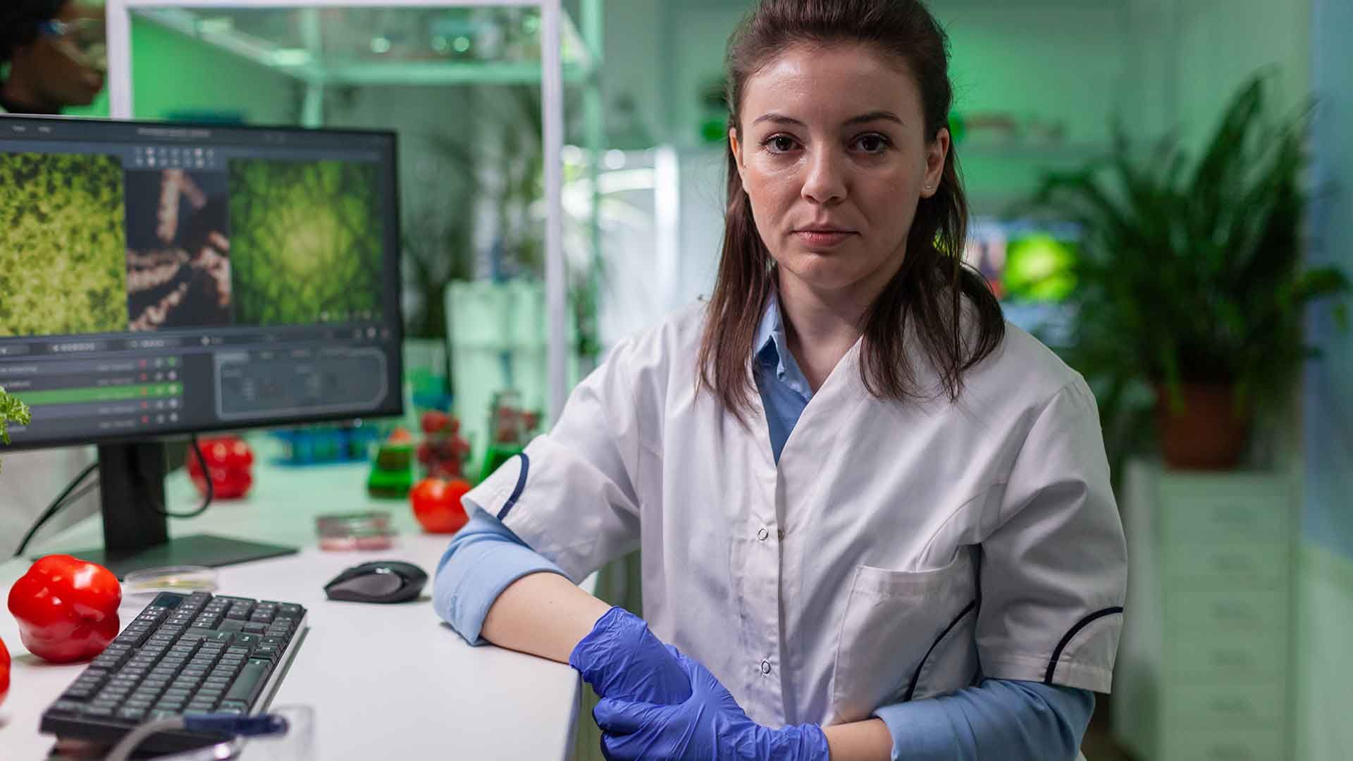 Investigadora