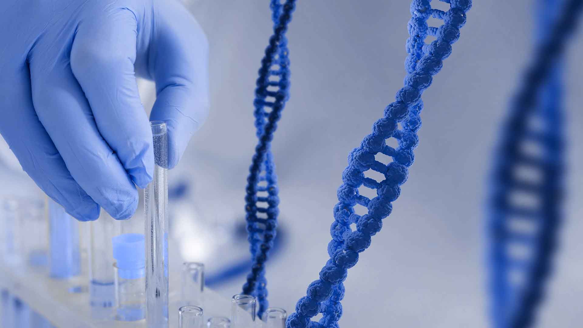 Imagen de genes